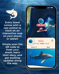 Voyage Shark - Large - Fahlo