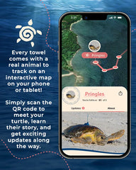 Journey Turtle - Fahlo