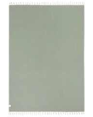 Sonoran Blanket Sage