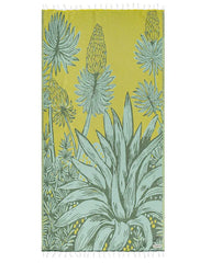 Agave