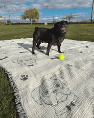 Pug - PARTY BLANKETâ¢